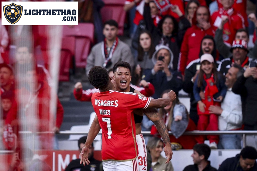 Dự Đoán Trận Đấu Benfica Gặp Braga: Liệu Đại Bàng Có Gục Ngã? – Trực Tiếp Lúc 02h45, 09/01/2025